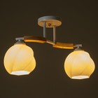 Люстра "Антер" 2хЕ27 40Вт белый 42х21х27 см BayerLux - фото 23342598