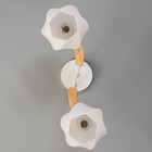 Люстра "Антер" 2хЕ27 40Вт белый 42х21х27 см BayerLux - фото 23342599