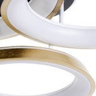 Люстра с ПДУ «Анелло» 3хLED 3000-6000К 184 Вт черно-золотой 85×78×21 см BayerLux - Фото 8