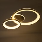 Люстра с ПДУ «Анелло» 2хLED 3000-6000К 184 Вт черно-золотой 86×60×16 см BayerLux - Фото 3