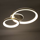 Люстра с ПДУ «Анелло» 2хLED 3000-6000К 184 Вт черно-золотой 86×60×16 см BayerLux - Фото 4