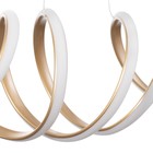 Светильник BayerLux "Спираль" LED 112Вт 3000-6000К золото 100х22х100 см - фото 23400925