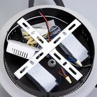 Люстра с ПДУ "Ментре" LED 142Вт черно-золотой 81х61х16 см BayerLux 9626300 Люстра с ПДУ "Ментре" LED 142Вт черно-золотой 81х61х16 см BayerLux 9626300