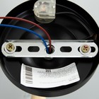 Бра "Брюссель" 1x60Вт E14 черный 26х14х26 см BayerLux 10207263