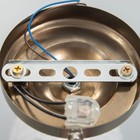 Бра "Вирджиния" 1х40Вт E14 бронза 20х15х30 см - фото 23419458