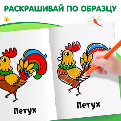 Раскраска «Животные фермы», 16 стр.