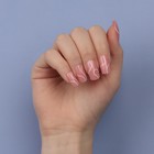 Накладные ногти «lines», 24 шт, с клеевыми пластинами, форма мягкий квадрат, цвет нежно-розовый - фото 8799754