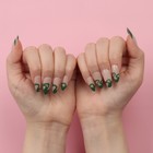 Накладные ногти «Pattern», 24 шт, с клеевыми пластинами, форма миндаль, цвет молочный/зелёный - фото 8080715
