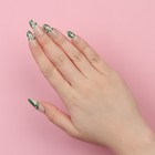 Накладные ногти «Pattern», 24 шт, с клеевыми пластинами, форма миндаль, цвет молочный/зелёный - фото 8080716