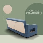 Прямой диван «Бруно 2», НПБ, механизм книжка, велюр, цвет квест 023 - Фото 5