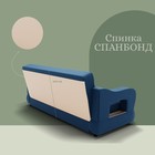 Прямой диван «Бруно 2», НПБ, механизм книжка, велюр, цвет квест 024 - Фото 5