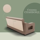 Прямой диван «Бруно 2», НПБ, механизм книжка, велюр, цвет квест 025 - Фото 5