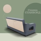 Прямой диван «Бруно 2», НПБ, механизм книжка, велюр, цвет квест 026 - Фото 5
