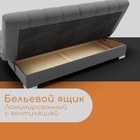 Прямой диван «Хьюстон 1», ППУ, механизм книжка, велюр, цвет квест 014 - Фото 6