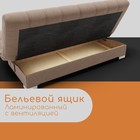Прямой диван «Хьюстон 1», ППУ, механизм книжка, велюр, цвет квест 025 - Фото 6