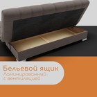 Прямой диван «Хьюстон 1», ППУ, механизм книжка, велюр, цвет квест 032 - Фото 6