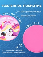 Ледянка Winter Star «Пони», 35×35 см, толщина 1 см - Фото 3