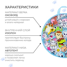 Ледянка Winter Star «Стикер», 45х45 см, толщина 1 см