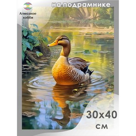 Алмазная мозаика «Утка» 30 × 40 см, на подрамнике