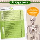 Энциклопедия в мягком переплёте «Биология для детей», 68 стр. - Фото 3