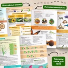 Энциклопедия в мягком переплёте «Биология для детей», 68 стр. - Фото 4