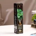 Диффузор ароматический Solo 50 мл мятный дождь  (артикул 10175325)  большой выбор товаров оптом и в розницу по низким ценам с доставкой