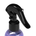 Полироль пластика Grass Polyrol Matte матовый, спрей, виноград, 250 мл - Фото 3