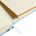 Ежедневник недатированный А5, 160 листов MEGAPOLIS VELVET, твёрдая обложка, искусственная кожа, ляссе, на резинке, тонированный блок 70 г/м2, зефирный голубой - Фото 17