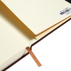 Ежедневник недатированный А5, 160 листов MEGAPOLIS VELVET, твёрдая обложка, искусственная кожа, ляссе, на резинке, тонированный блок 70 г/м2, коричневый - Фото 17