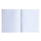 Тетрадь 48 листов в клетку CUTE OWLS, обложка мелованный картон, матовая ламинация Soft Touch, МИКС - фото 23353617