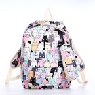 Рюкзак школьный из текстиля на молнии, 3 кармана, пенал, цвет разноцветный - фото 320772172
