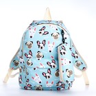 Рюкзак школьный из текстиля на молнии, 3 кармана, пенал, цвет голубой - фото 320772186