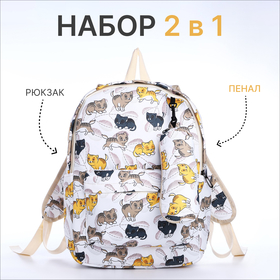 Рюкзак школьный из текстиля на молнии, 3 кармана, пенал, цвет белый/разноцветный