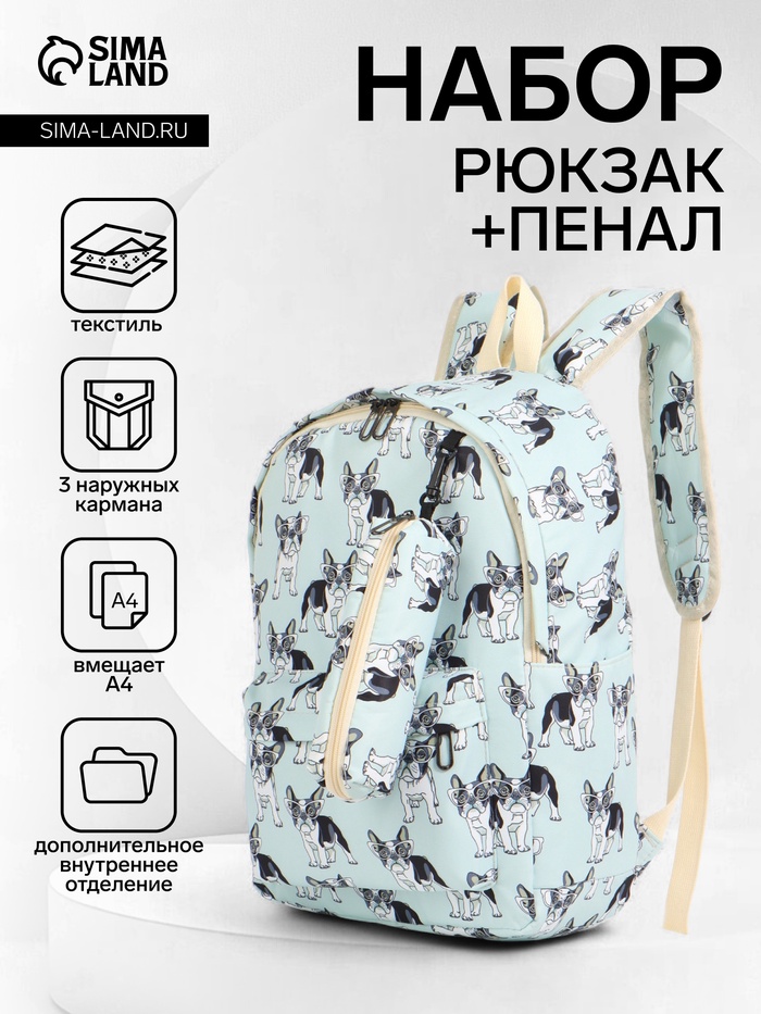 Рюкзак школьный «Бульдог в очках», с пеналом, 29×12×41 см, голубой - Фото 1