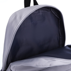 Рюкзак школьный из текстиля на молнии, 3 кармана, цвет серый - фото 11073455