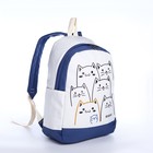 Рюкзак школьный из текстиля на молнии, 3 кармана, цвет синий - фото 109448869