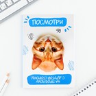 Ежедневник А5, 80 л. Тонкая обложка «Кот» - фото 23373575