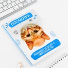 Ежедневник А5, 80 л. Тонкая обложка «Кот» - фото 23373576