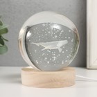Фигурка светящаяся стекло «Шар. Кит», d=8 см, подставка дерево, USB, 8×8×9.5 см - Фото 2