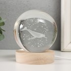 Фигурка светящаяся стекло «Шар. Кит», d=8 см, подставка дерево, USB, 8×8×9.5 см - Фото 3