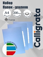 Набор папок уголков, А4, 200 мкм, 5 штук, Calligrata TOP Breeze, 3 отделения, небесный, глянцевые, полупрозрачные - Фото 1