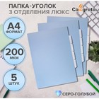 Набор папок уголков, А4, 200 мкм, 5 штук, Calligrata TOP Breeze, 3 отделения, небесный, глянцевые, полупрозрачные - Фото 1