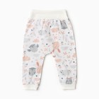 Штанишки «Евро» на широкой резинке, цвет молочный/звери, рост 68 см - фото 25375031