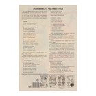 Комплект мини-плакатов "Ориентирование во времени" 4 штуки, А4 - фото 23539507