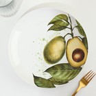Тарелка керамическая «Авокадо», 22.5 см, цвет белый - фото 4408317