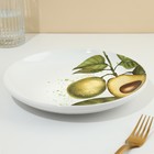 Тарелка керамическая «Авокадо», 22.5 см, цвет белый - фото 4408318