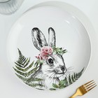 Тарелка керамическая «Зайка», 22.5 см, Dolce Ceramo - Фото 3