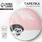 Тарелка керамическая «Ёжик», 25.5 см, Dolce Ceramo - Фото 1