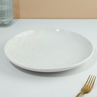 Тарелка керамическая «Папоротник», 25.5 см, цвет белый - фото 4408430