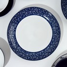 Набор посуды на 4 персоны Royal Garden, 16 предметов: 4 тарелки 23 см, 4 миски 14.5 см, 4 кружки 250 мл, 4 блюдца 15 см. - Фото 14